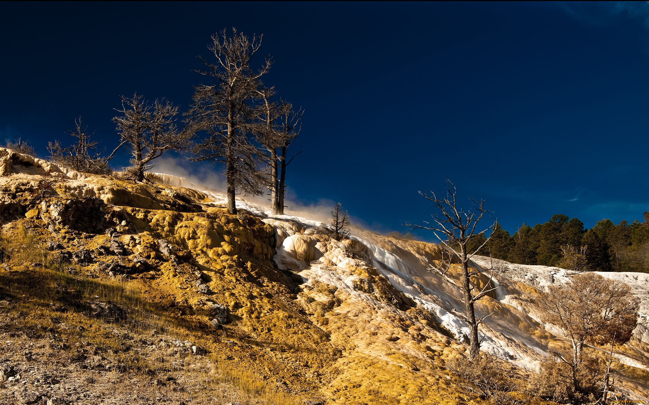 yellowstone, national, park, , 